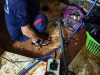 Dịch Vụ Thông Cống Nghẹt Cờ Đỏ Cần Thơ Giá Rẻ, Chất Lượng