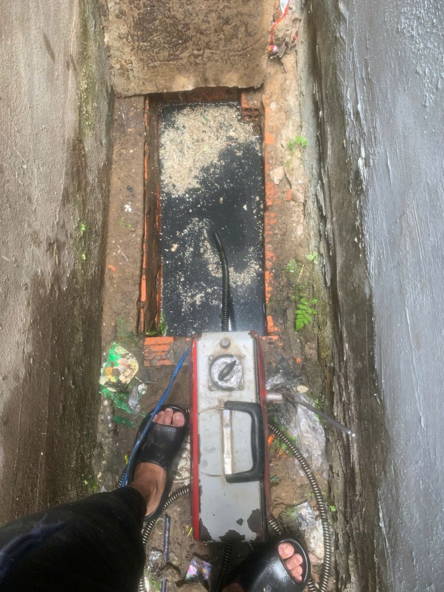 Thông bồn cầu Phú Tân, Cà Mau