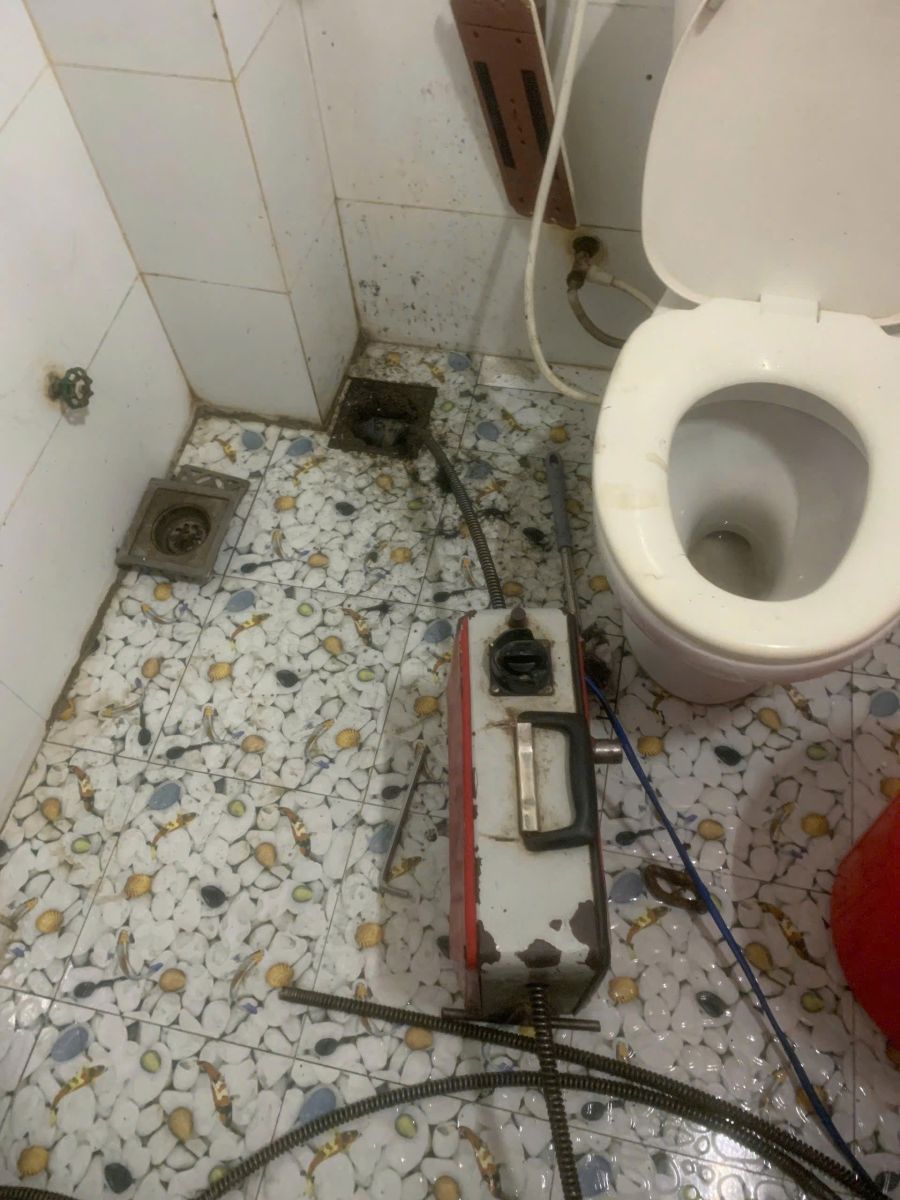 Thông Cống Nghẹt Đông Hải, Bạc Liêu