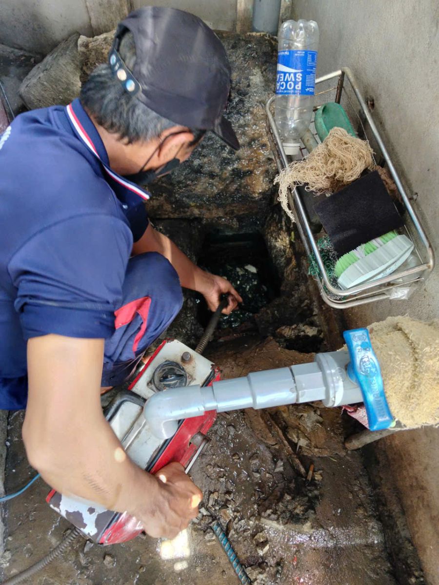 Thông Bồn Cầu Tam Nông, Đồng Tháp