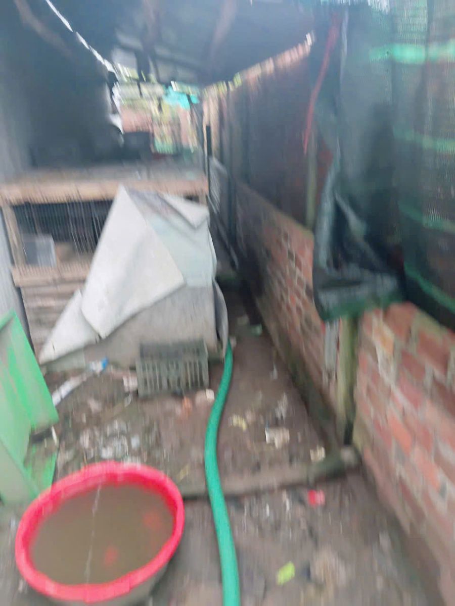 Hút Hầm Cầu Sóc Trăng Giá Rẻ
